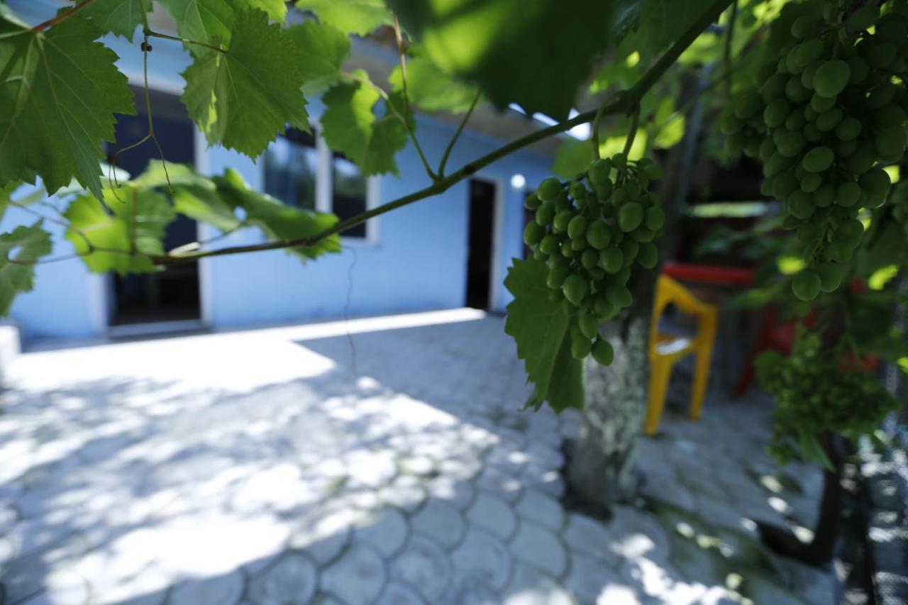 Lilia Guesthouse Sighnaghi Exterior photo